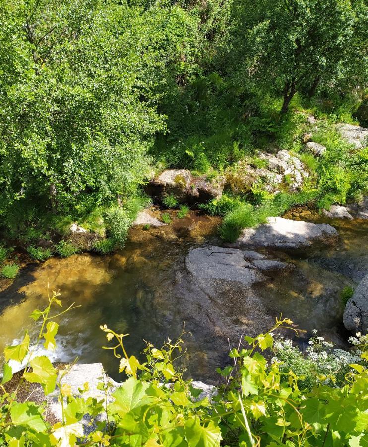 Abrigo Do Cabecinho - Serra Da Estrela Cortes do Meio 외부 사진